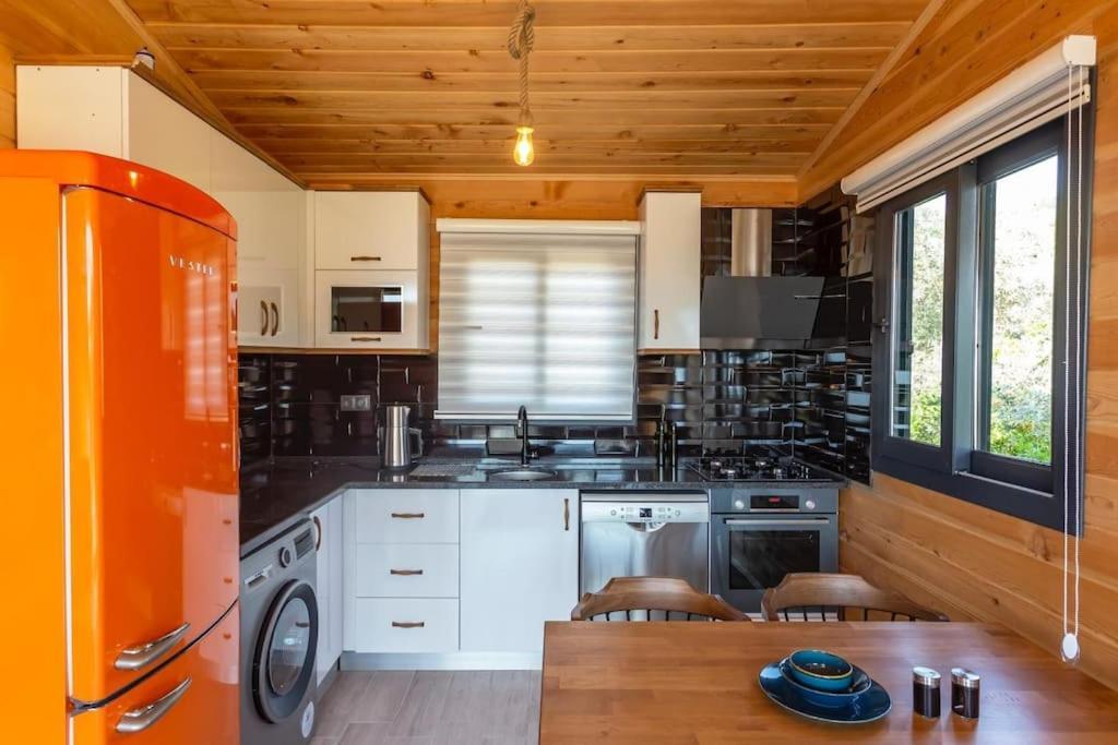 Villa Zeytin Havuzlu Jakuzili Fethiye Buitenkant foto